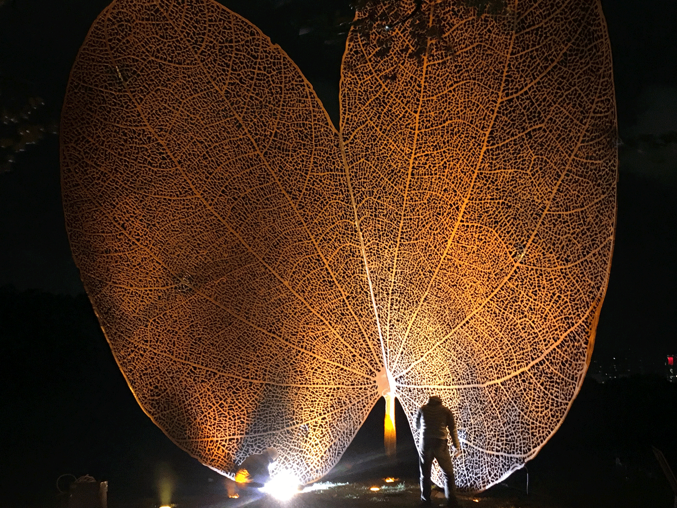 LEAF TSINGHUA (2018), Tsing Hua University, Hsinchu, Taiwan. Juanjo Novella