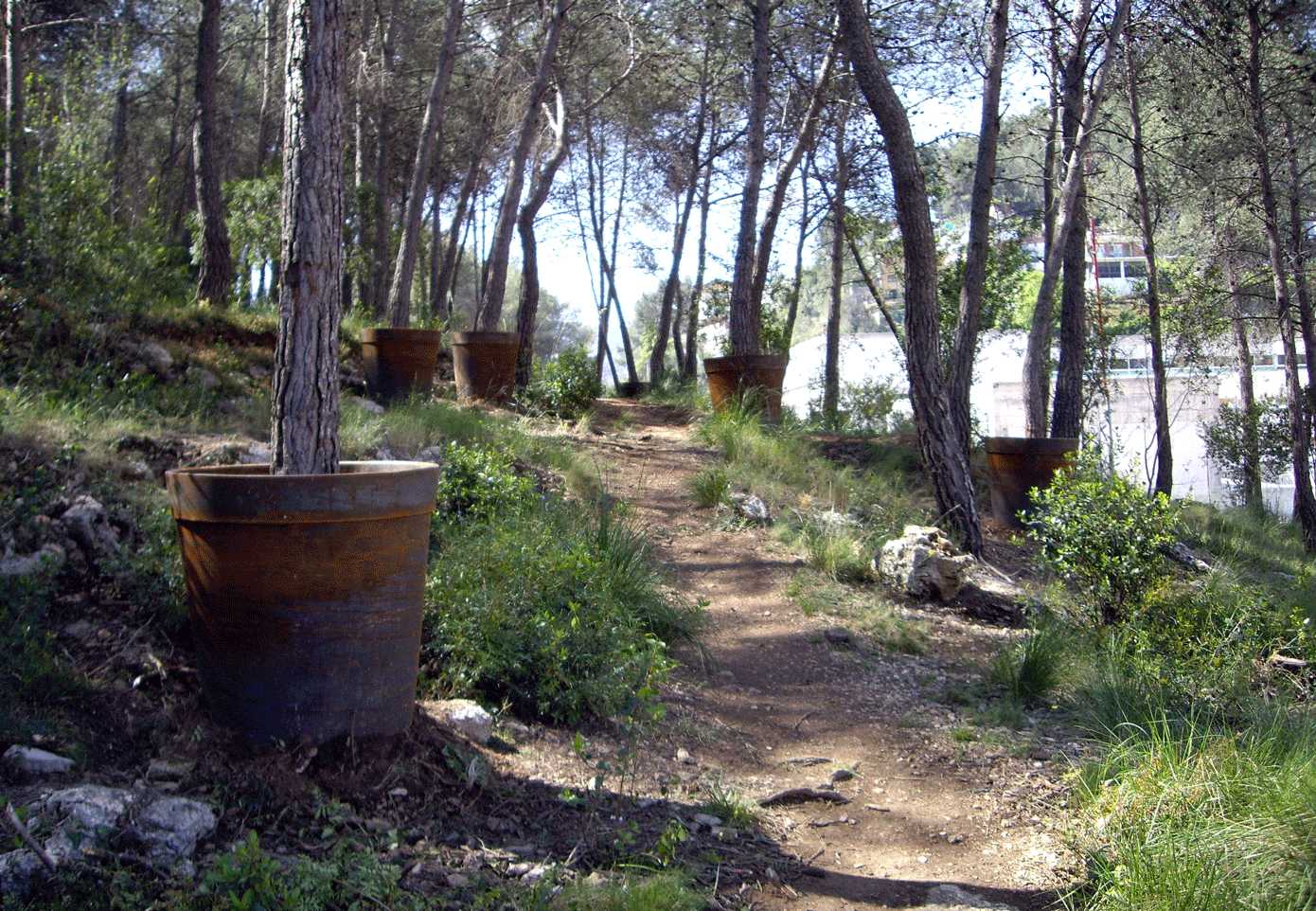 DOOR OF HUMAN VALUES (2007) Bosch of Felix Alsina, Vallirana, Barcelona